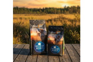 koiranruoka senioreille