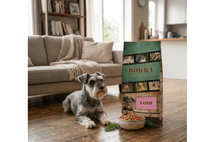 koiran närästys ruokavalio