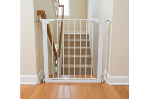 paras koiraportti portaisiin