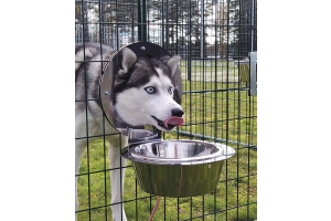 koiratarhan varustaminen