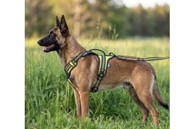 koiran valjaat axaeco