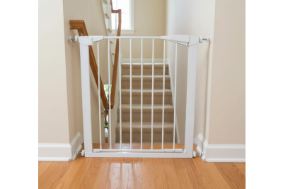 paras koiraportti portaisiin