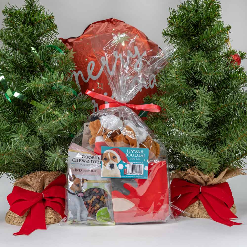 Joulupaketti pienelle koiralle