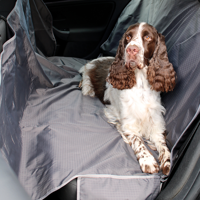 Brava, Auton takapenkin suoja