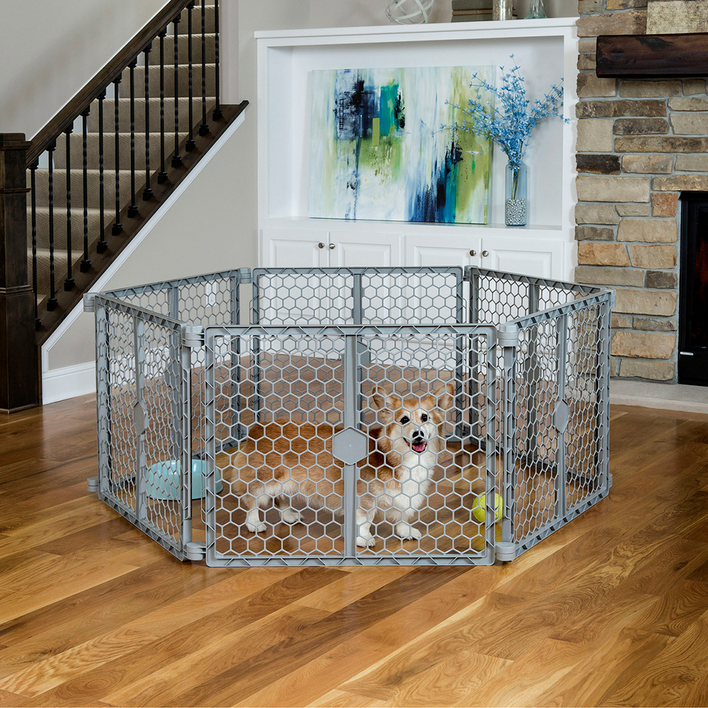 Ogizga archa otining sigishini onlayn tomosha qiling Ekaterinburgdagi dam olish tadbirlari: transvestitlar