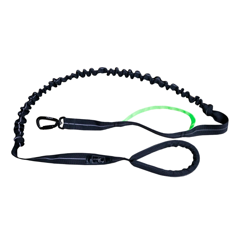 Axaeco Jogging Leash joustolla ja twistlockilla, 170-220 cm