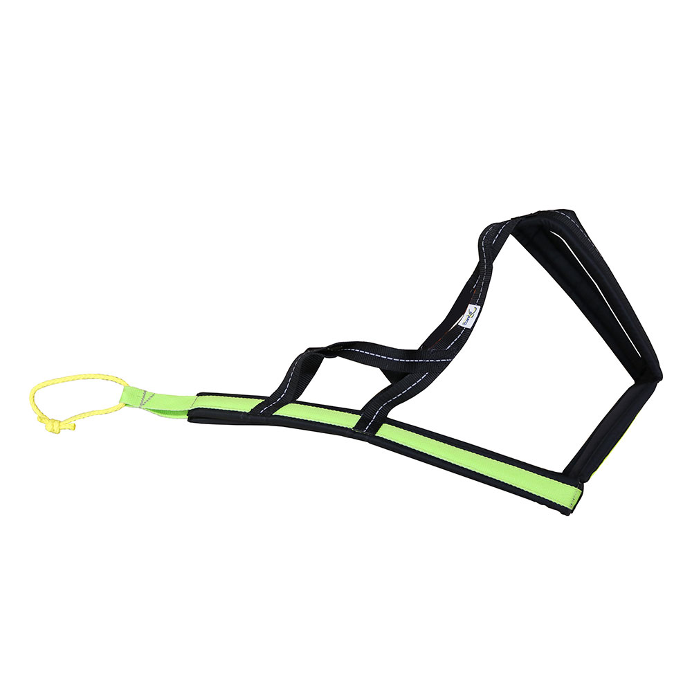 Axaeco Scandinavia Vetovaljas