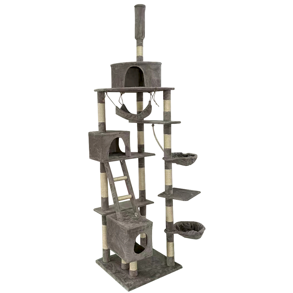 Boogie, Kissan kiipeilypuu, Colosseum