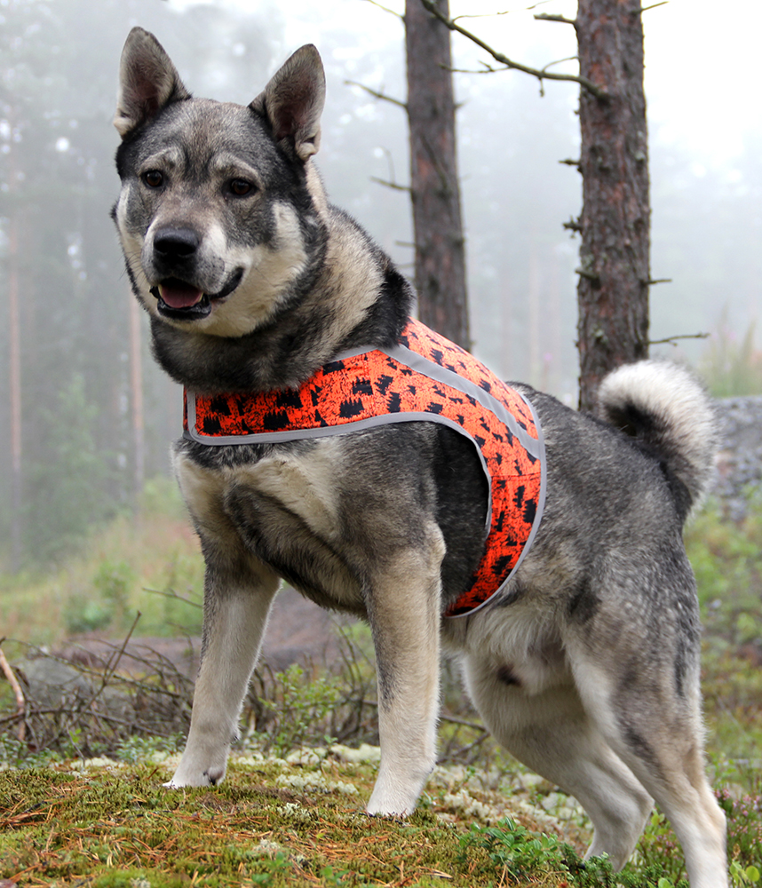 Brava ROKKA huomioliivi, Oranssi-forest