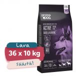LAVA 36 x 10 kg PrimaDog Active Ankka-Silli Viljaton