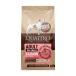 Quattro Dog Small Breed Adult with Salmon