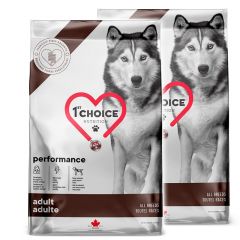 1st Choice Adult Performance 2 x 12 kg