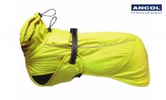 Ancol - Extreme Blizzard takki, unisex - Neon - Eri kokoja