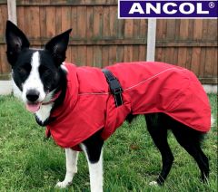 Ancol - Extreme Blizzard takki, unisex - Punainen - Eri kokoja