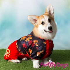 ForMyDogs - Leaves, nartun malli Corgin sadehaalari - Eri kokoja