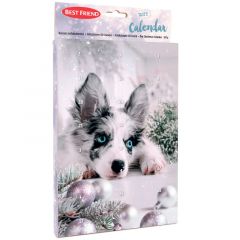 Best Friend Koiran Joulukalenteri Tasty, 120 g