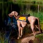 FinNero GPS Huomioliivi koiralle - valitse koko
