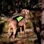 FinNero GPS Huomioliivi koiralle - valitse koko