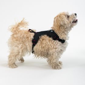 GOTO-Sportwear Casu3 valjaat pienelle koiralle