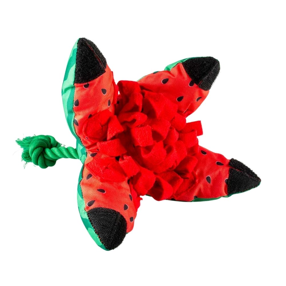 Duvo+ Koiranlelu Namipommi köydellä, vesimeloni