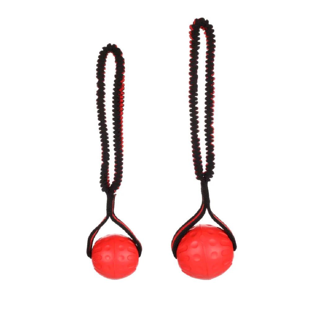 Flamingo, Koiranlelu, kelluva TPR-pallo joustavalla käsilenkillä - Valitse koko