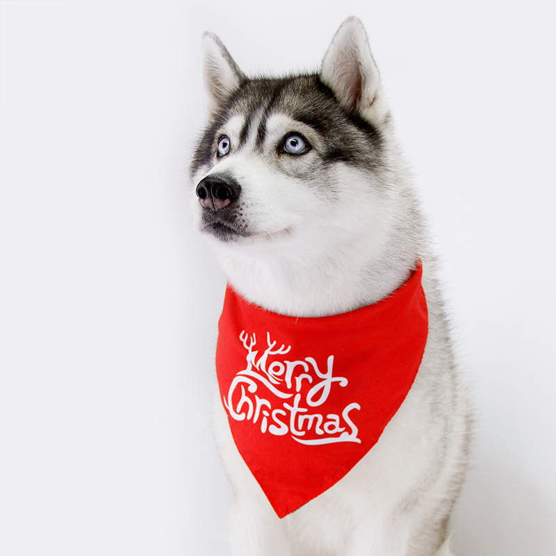 Koirien Jouluhuivi, 75 x 37 cm