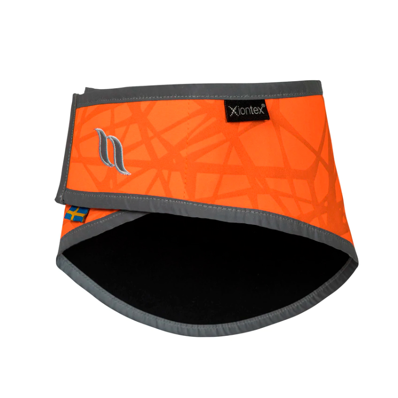 Back on Track, Koiran huomiohuivi draco, oranssi