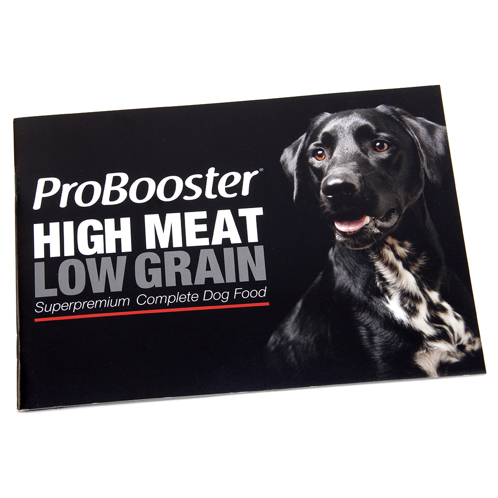 ProBooster-esite (ILMAINEN)