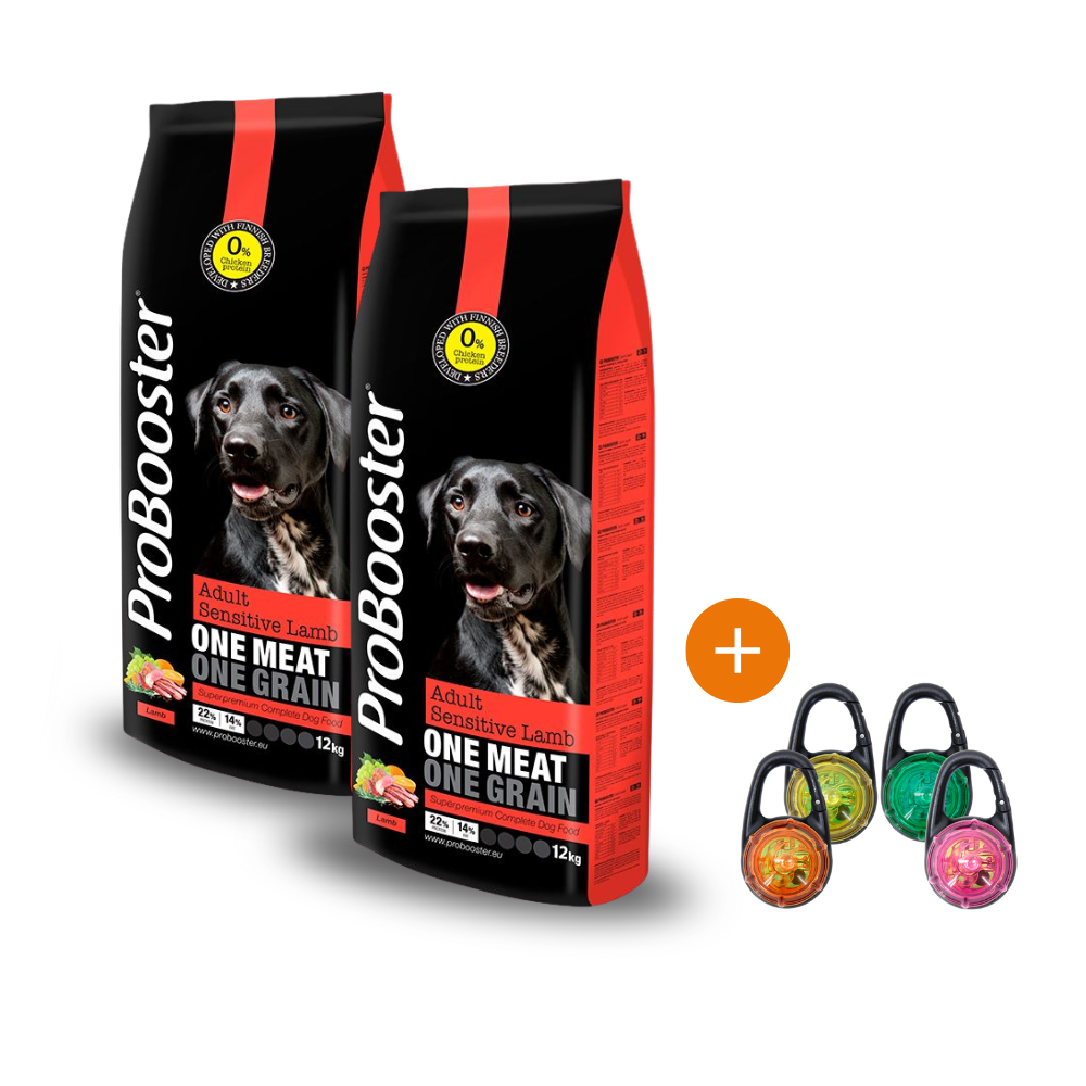 2 x 12 kg ProBooster Special Edition Adult Sensitive Lamb + KAUPAN PÄÄLLE Boogie See Me Huomiovalo