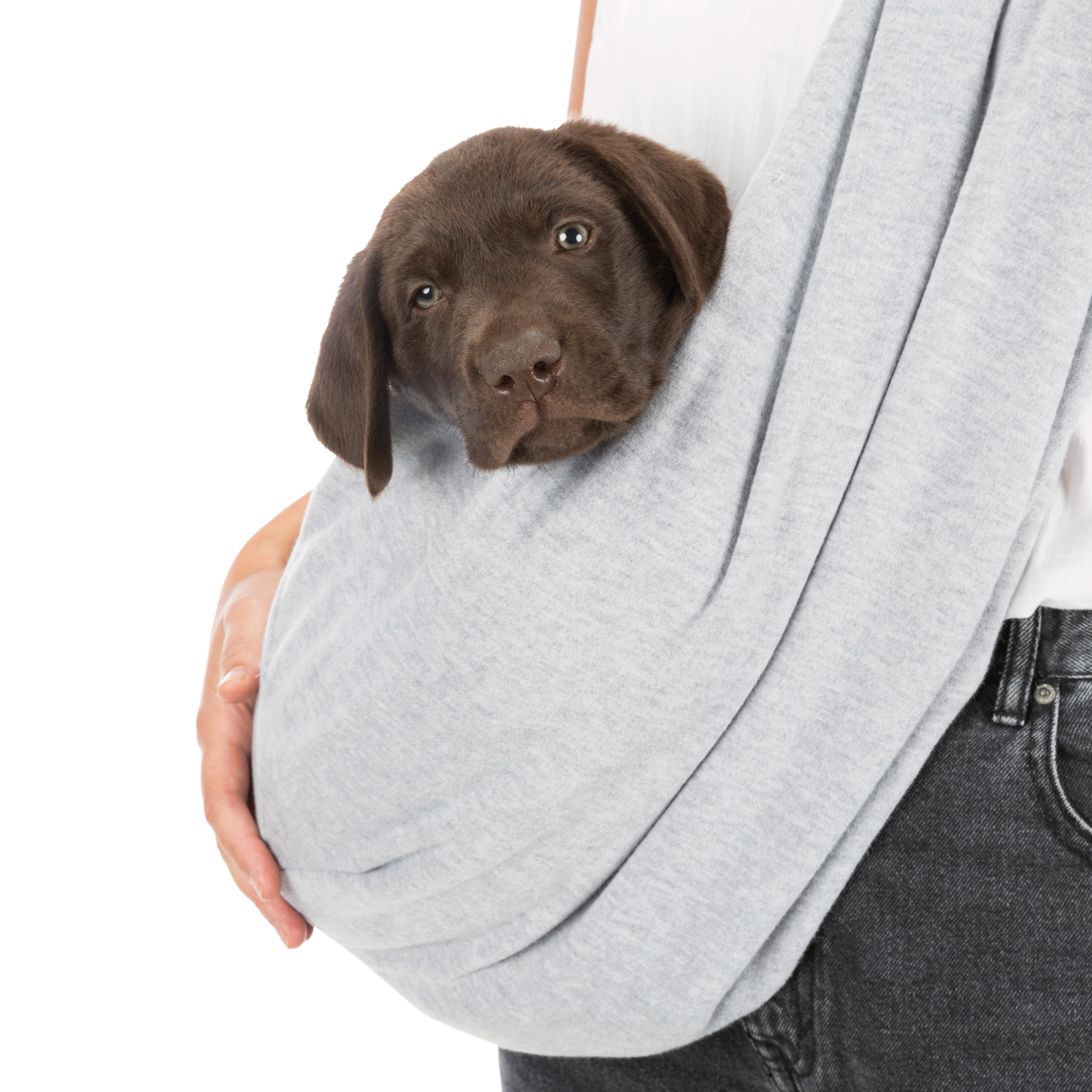 Trixie Junior Lemmikin kantoliina/laukku 22x20x60 cm