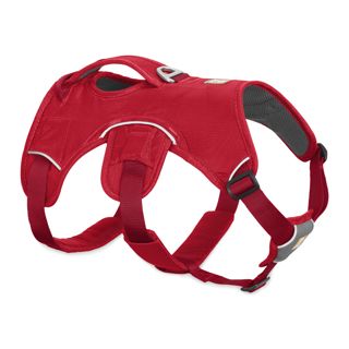 RuffWear Valjaat, Web Master XXS
