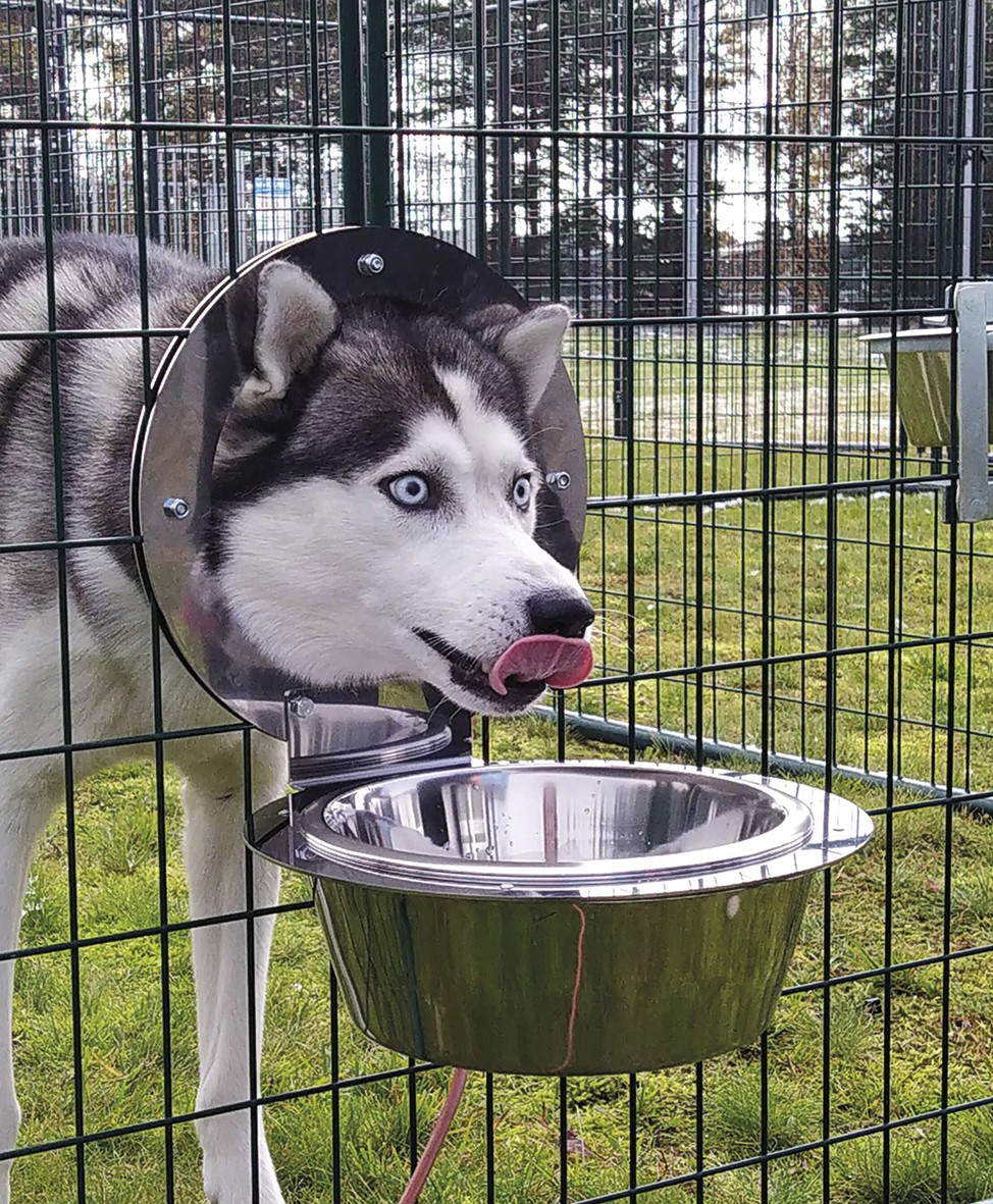 koiratarhan varustaminen