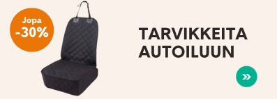 Autoilu