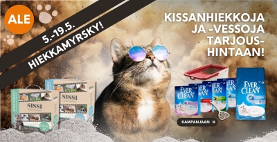 Etusivu, hiekkamyrsky