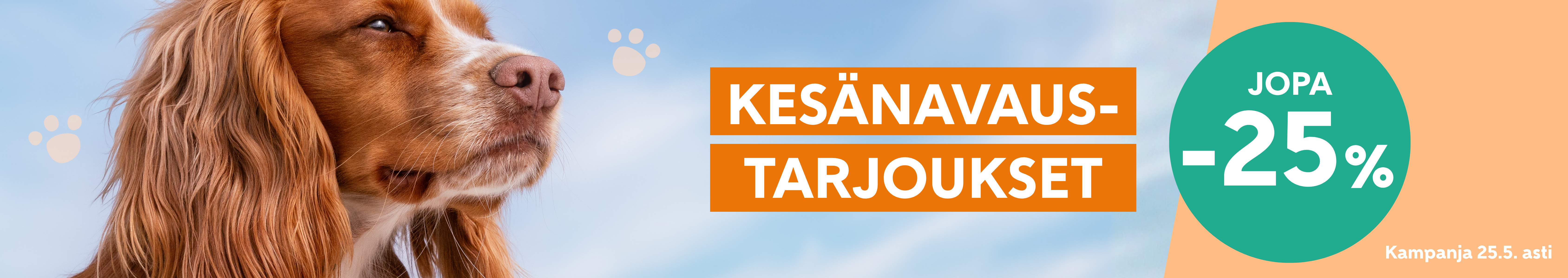 Kesänavaus