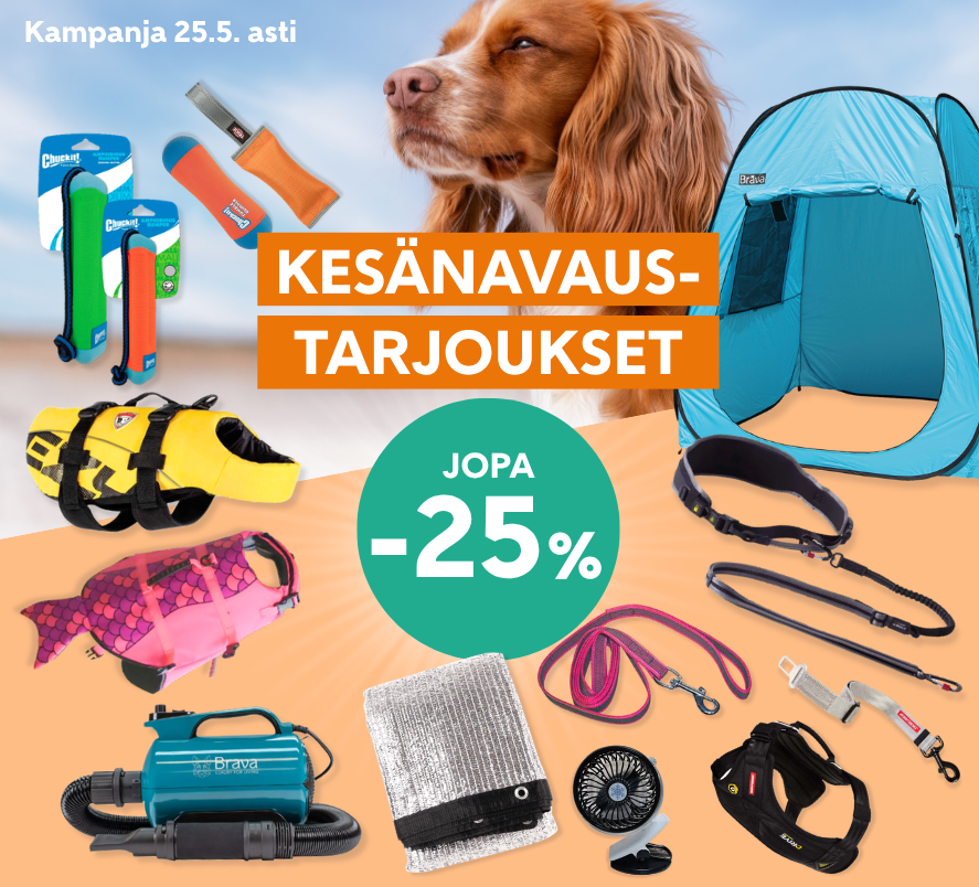 Kesänavaus