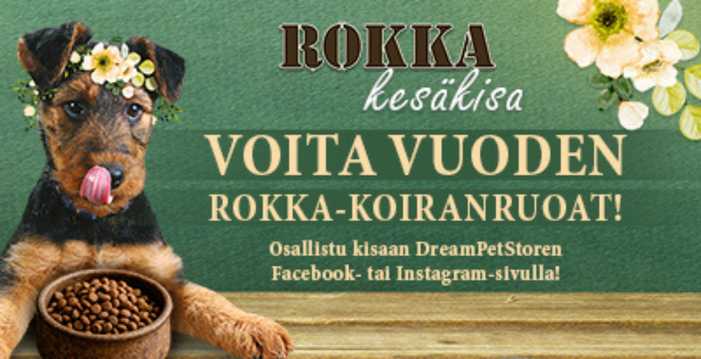 Etusivu, Rokka kesäkisa