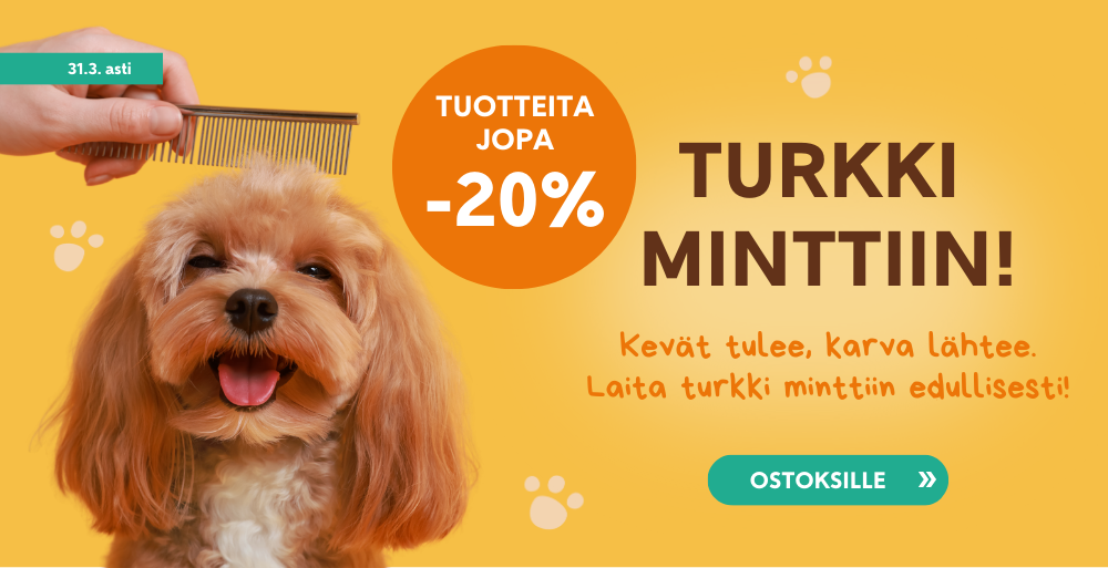 Etusivu, Turkki minttiin