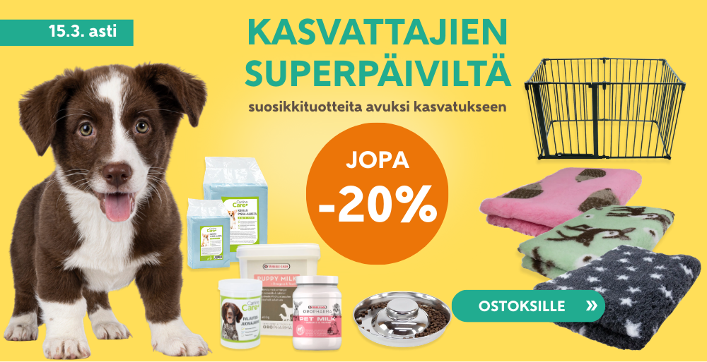 Etusivu, Kasvattajien Superpäivät