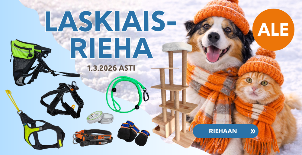 Etusivu, Laskiaisrieha