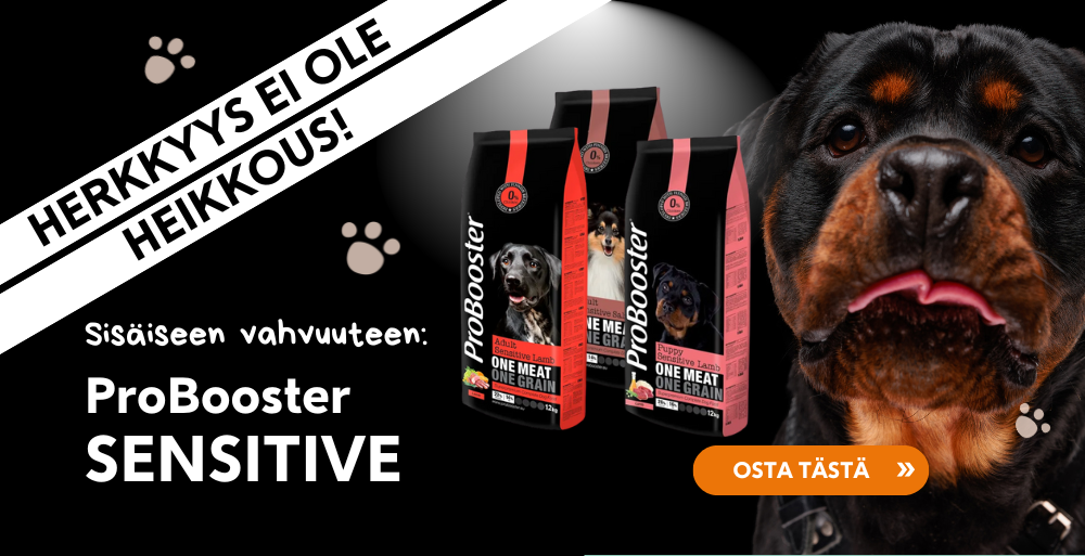 Etusivu, Herkkyys ei ole heikkous