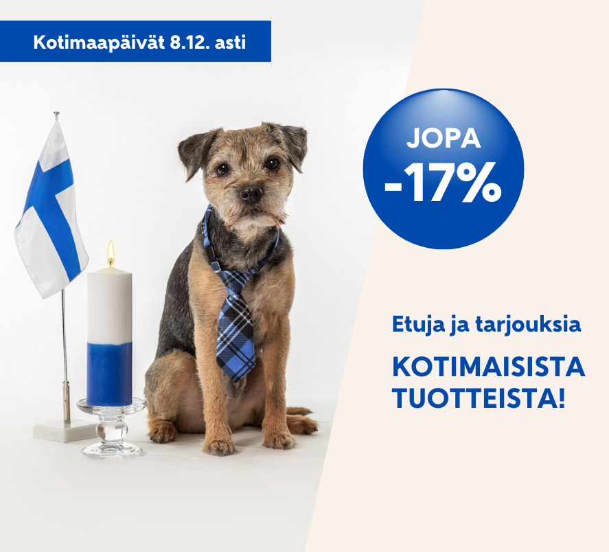 Kotimaapäivät