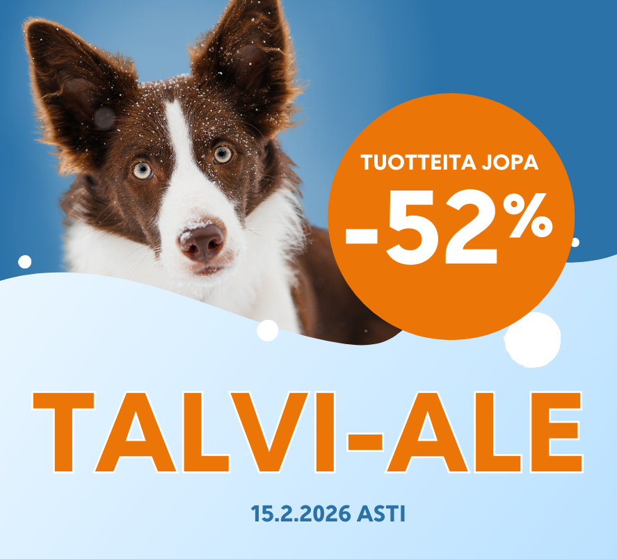 Talvi-ale