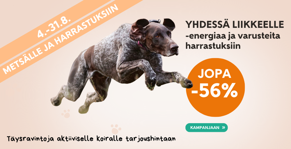 Etusivu, metsälle & harrastuksiin