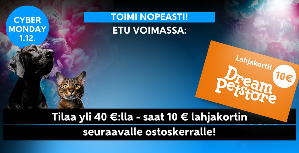 Etusivu, Cyber Monday