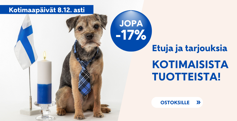 Etusivu, Kotimaapäivät