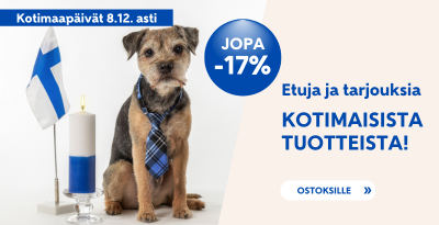 Kotimaapäivät