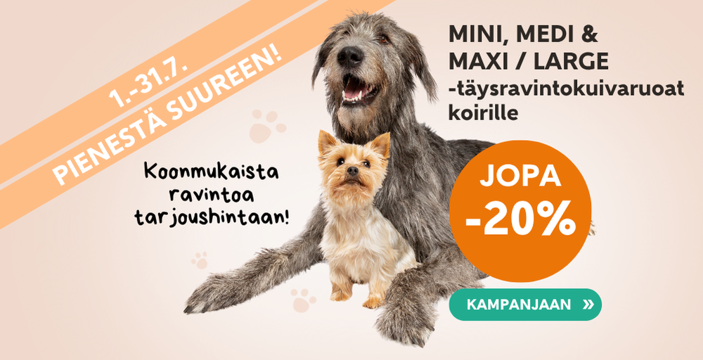 Pienestä suureen