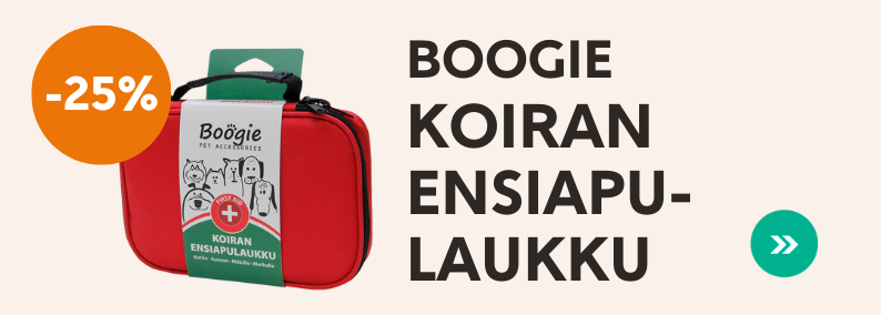 Ensiapulaukku