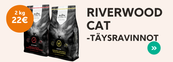 Riverwood Cat